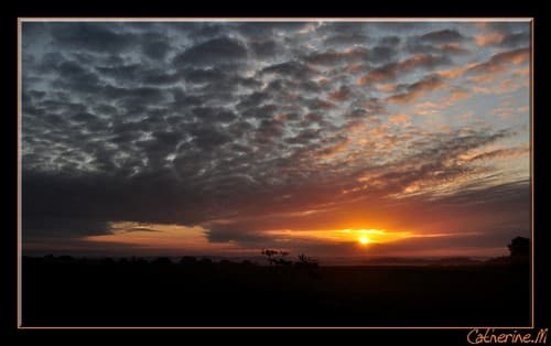 Altocumulus 
