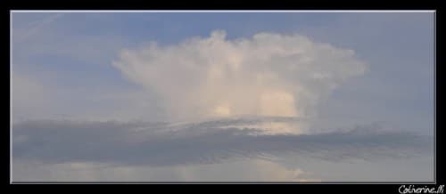 Cumulonimbus capillatus incus + velum