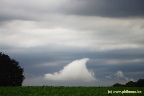 le stratus voilier