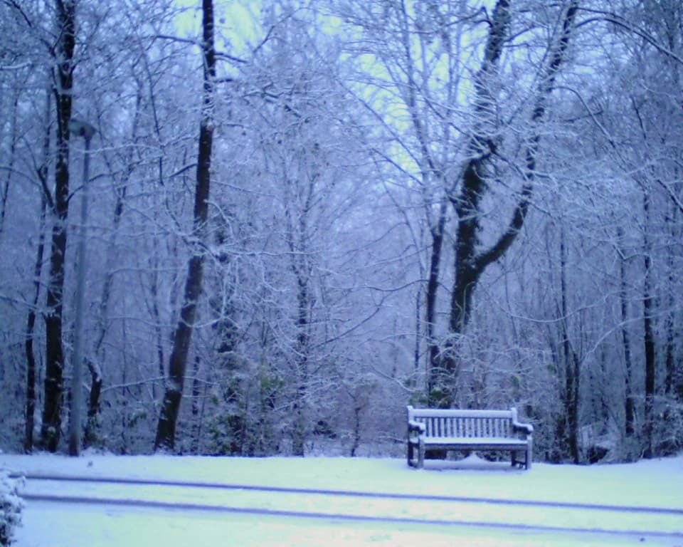 Parc Dudden
