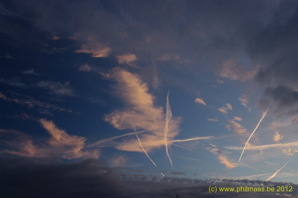 Trois plumes