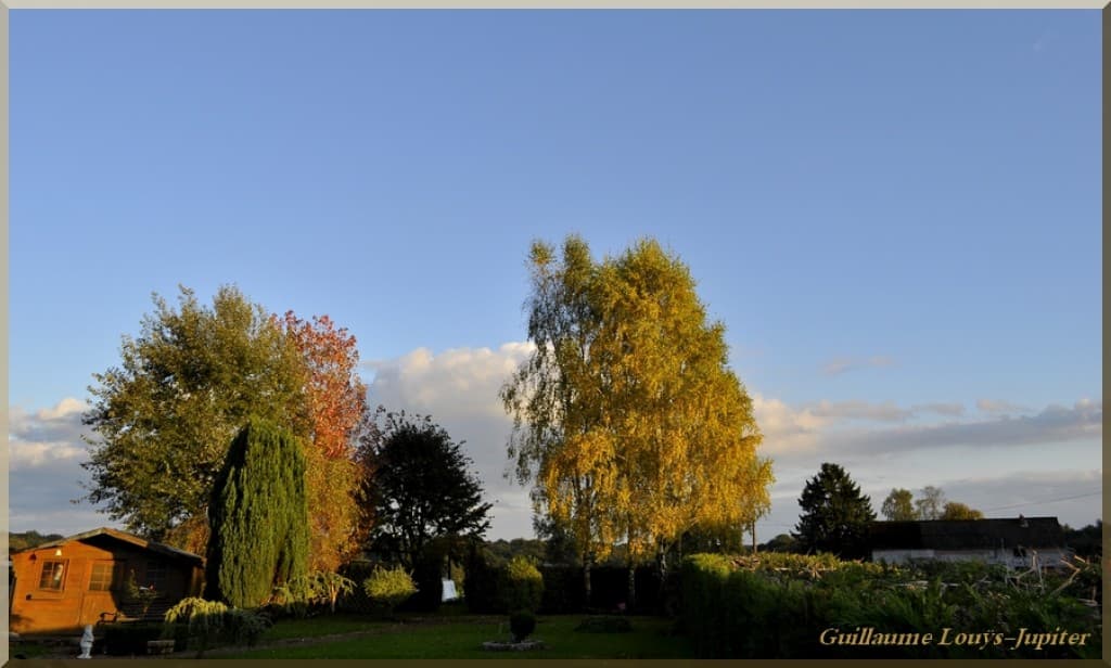 Couleurs d'automne