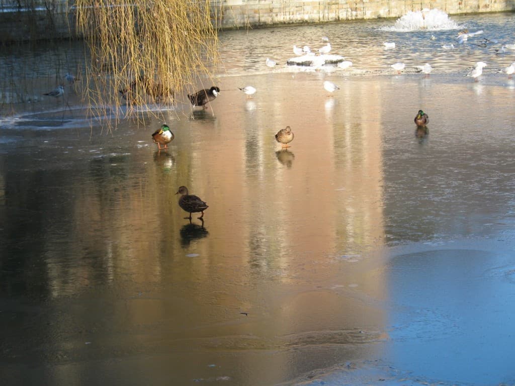 Marcher sur l'eau