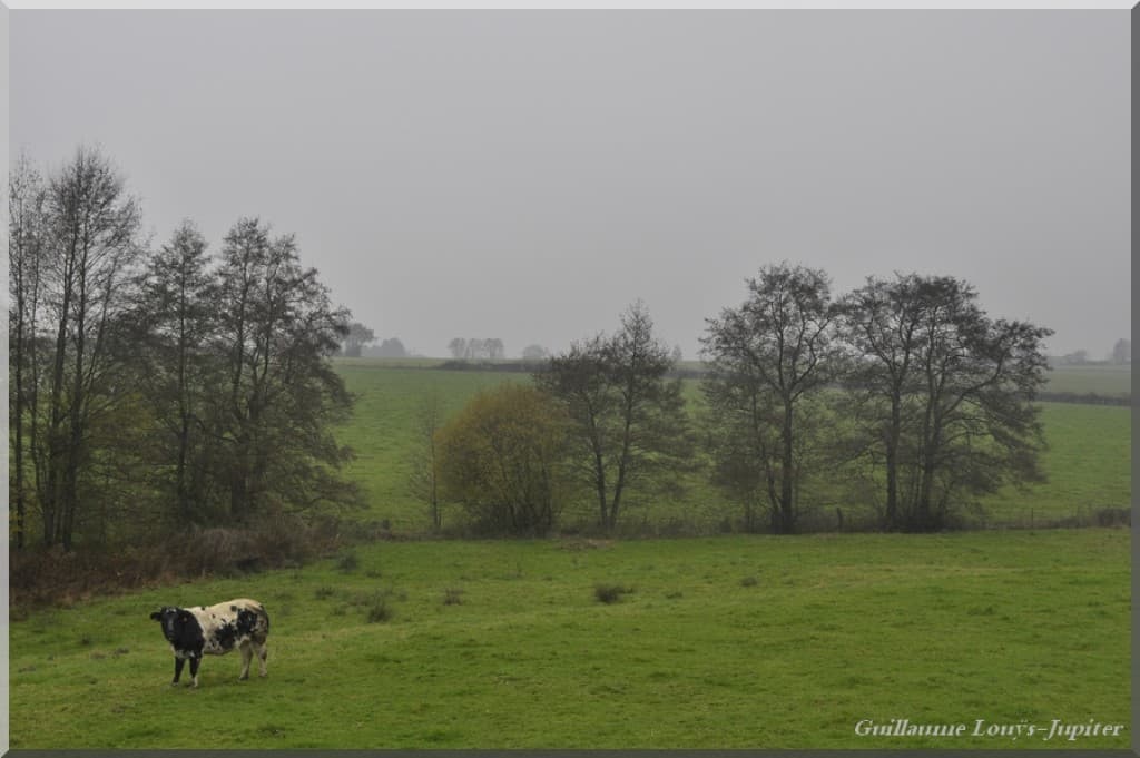 Novembre dans toute sa splendeur...