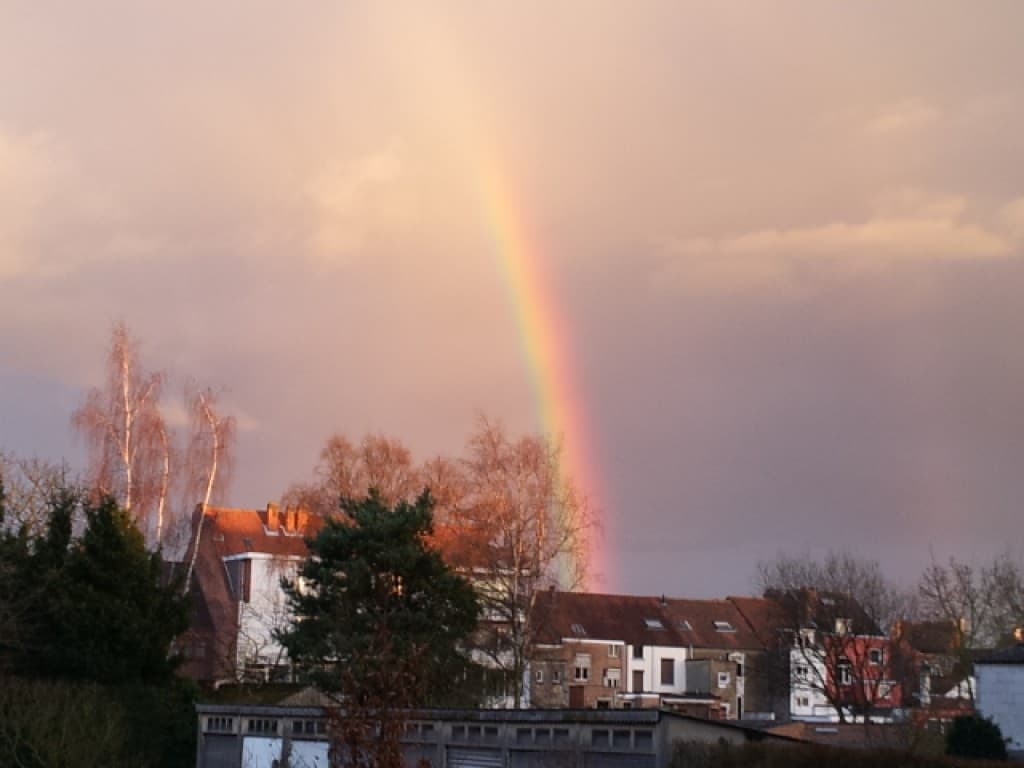 Après la pluie...
