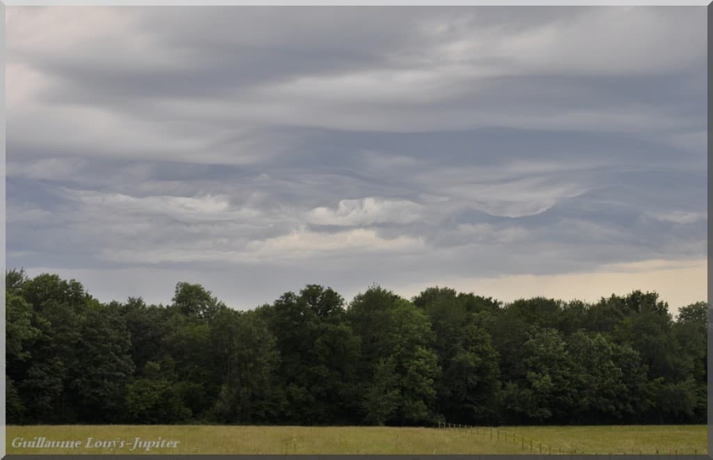 "Asperatus"
