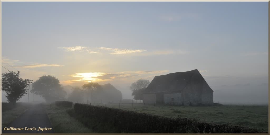 Brumeuse émergence