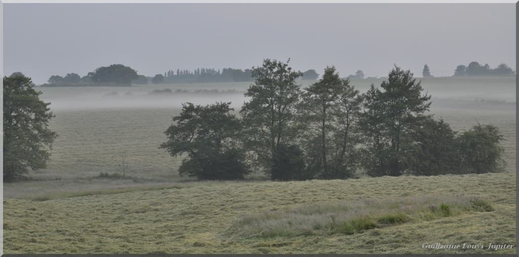 Echarpe de brume