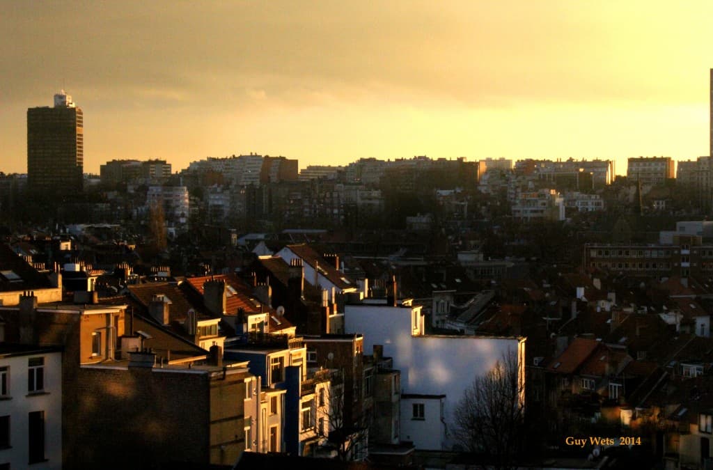 Golden sunset 4