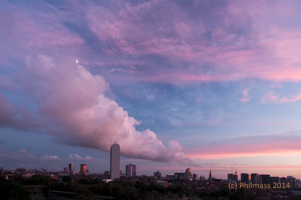 Pink evening