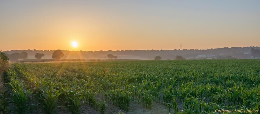Brume légère au loin