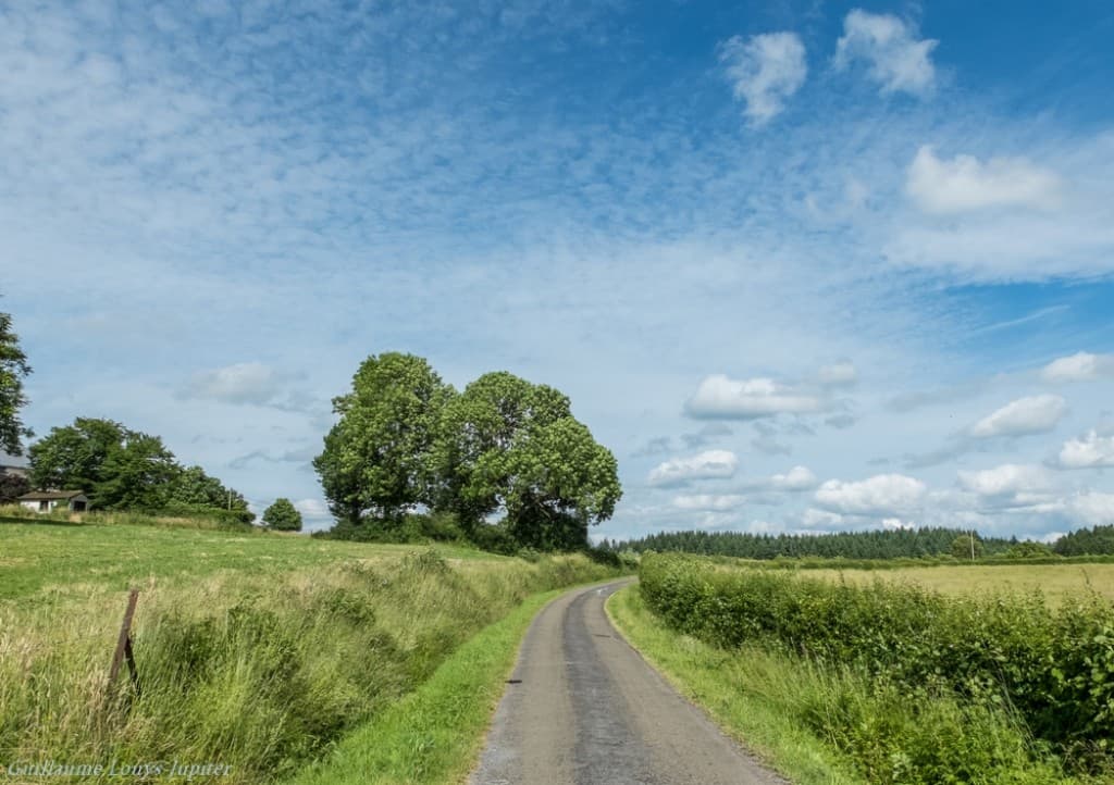 Campagne sereine