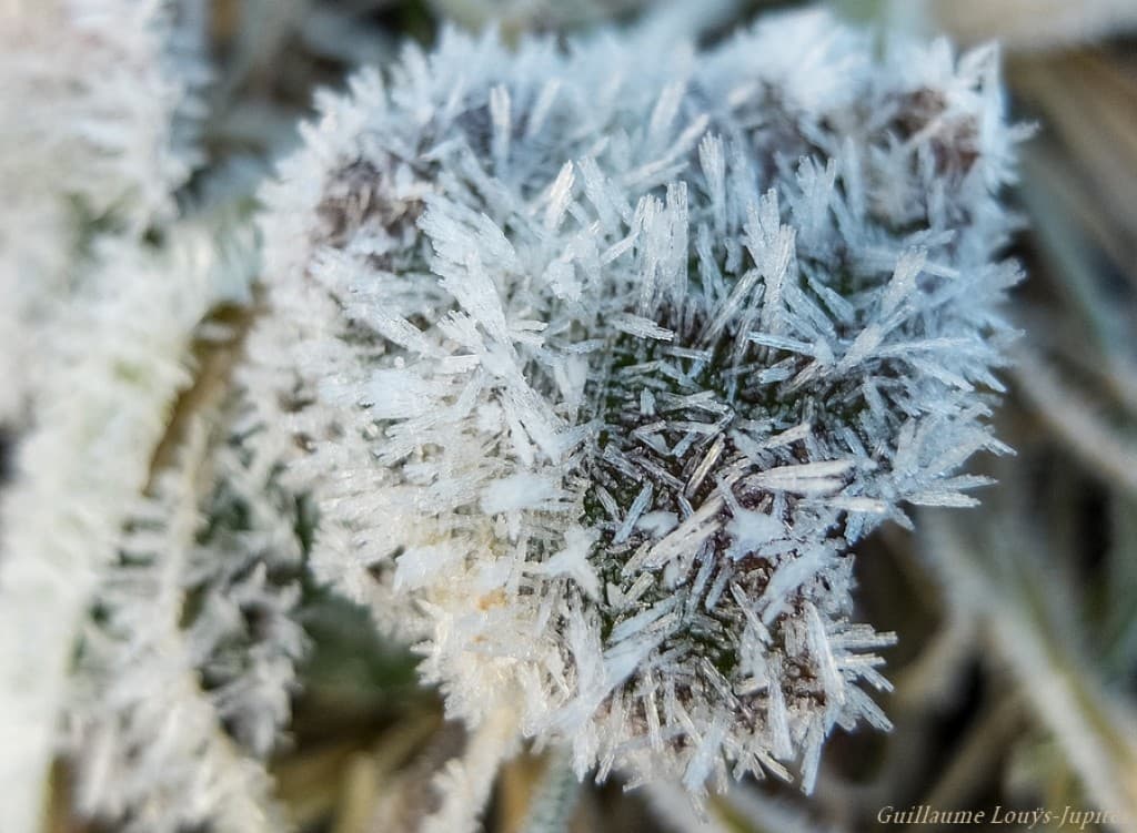 Costaud le givre