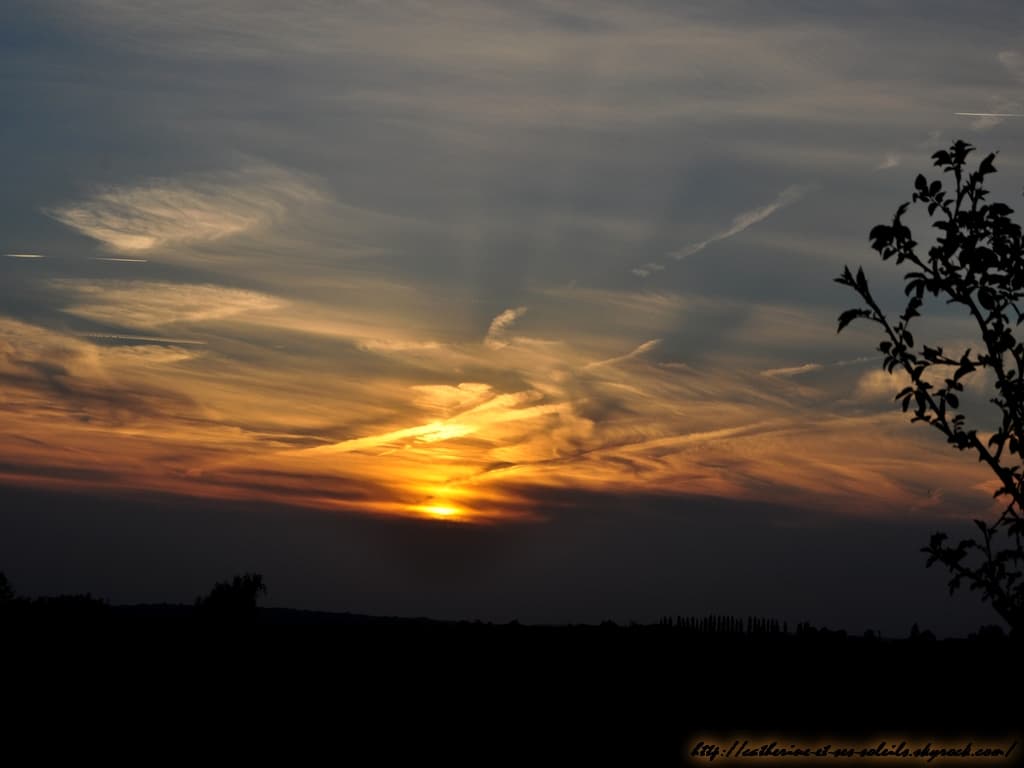 Coucher tôt.