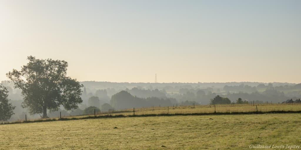 Davantage de brume