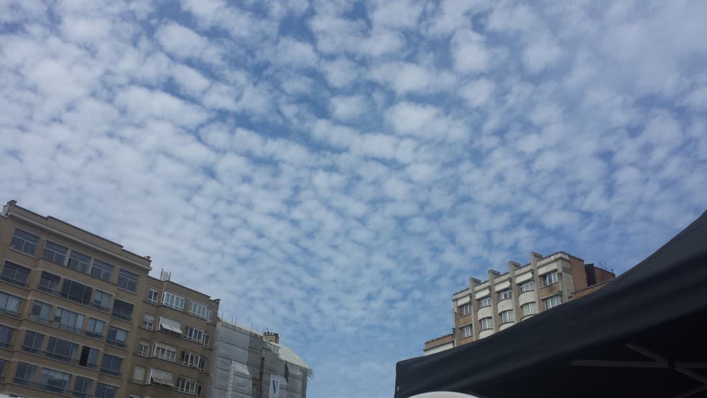 Les moutons de Flagey