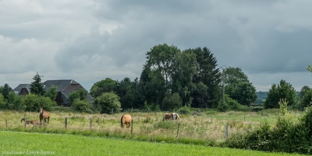 Toujours menaçant