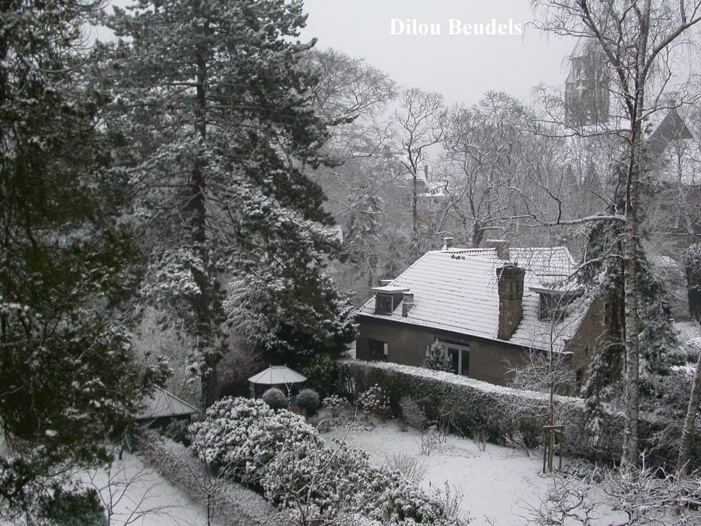 Uccle sous la neige. 24 Janvier 2015 