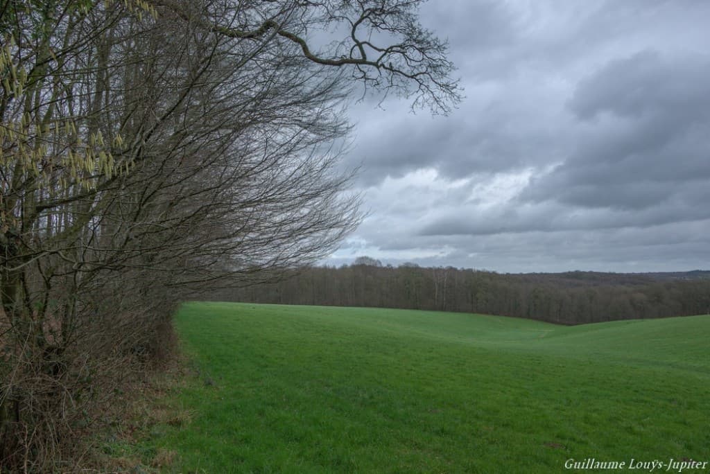 Retour du gris