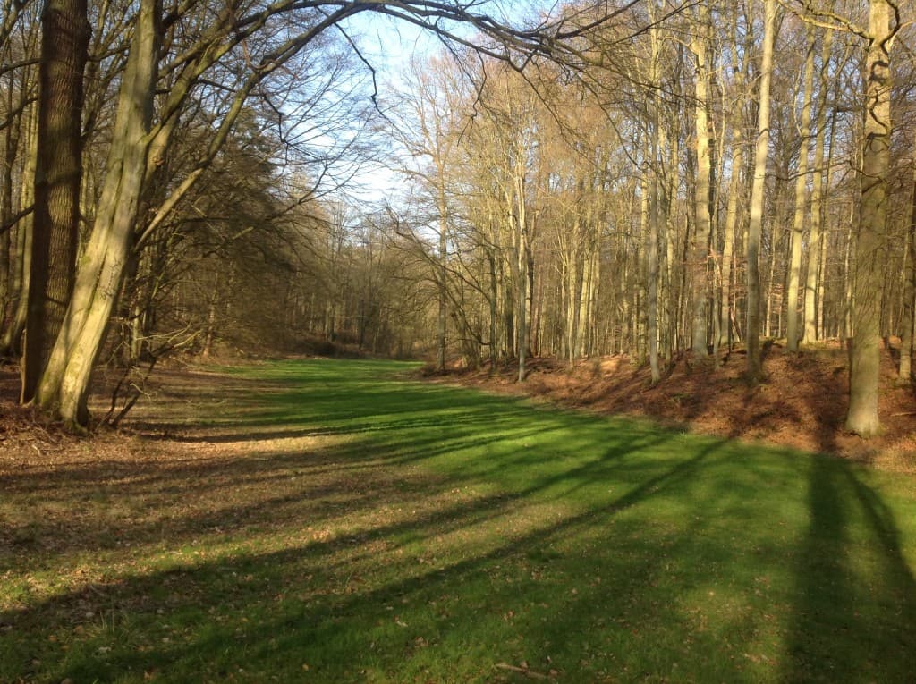 Vers,le printemps...