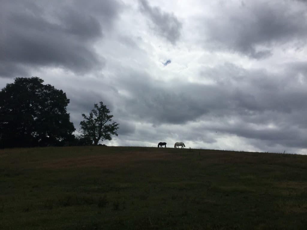 Calme campagne 