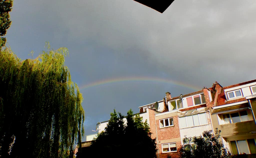 clin d'oeil citadin