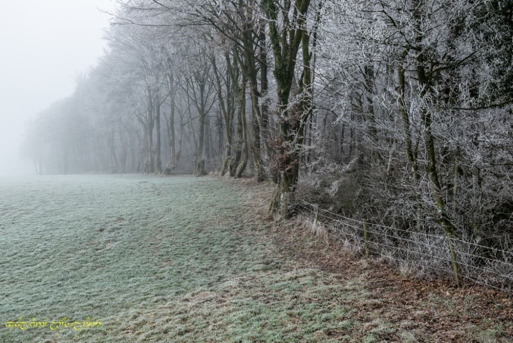 Givre et brouillard