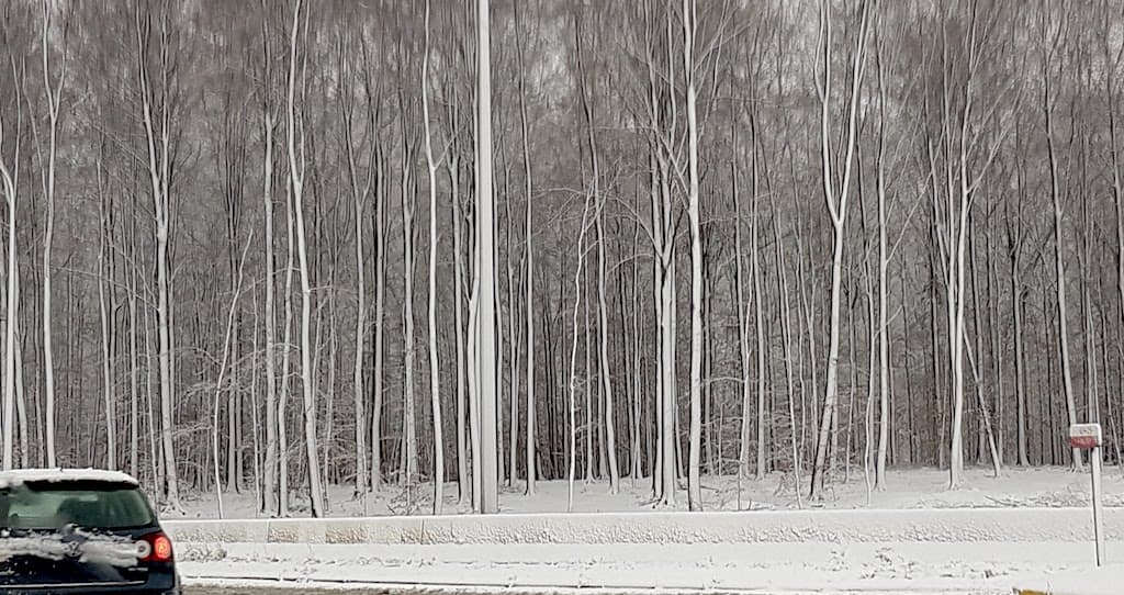 jour blanc