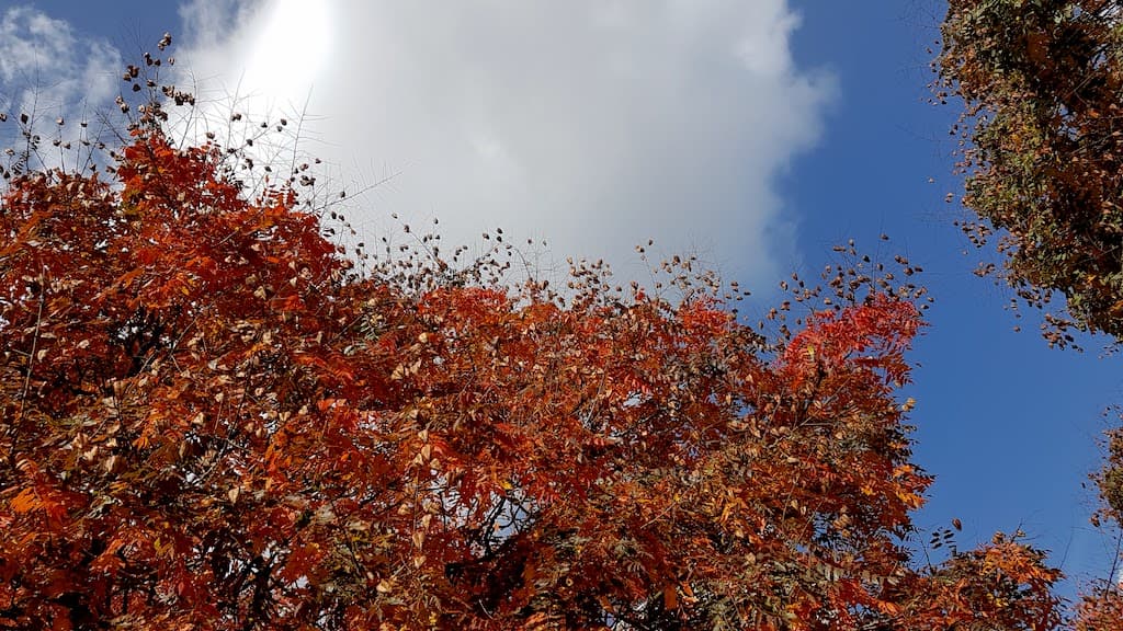 Les couleurs du jour