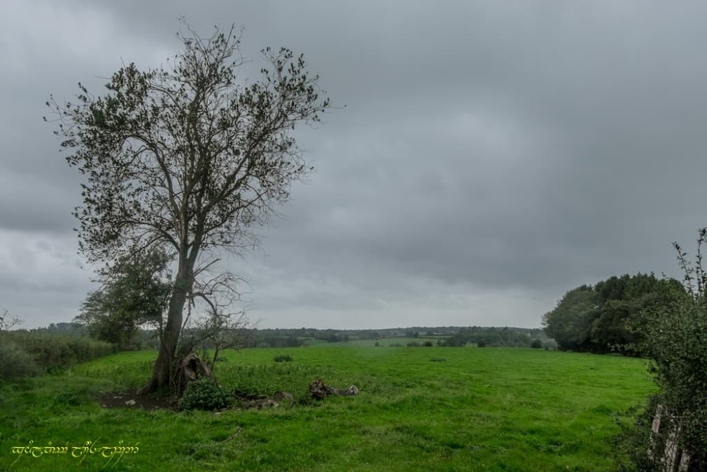 Pluie imminente