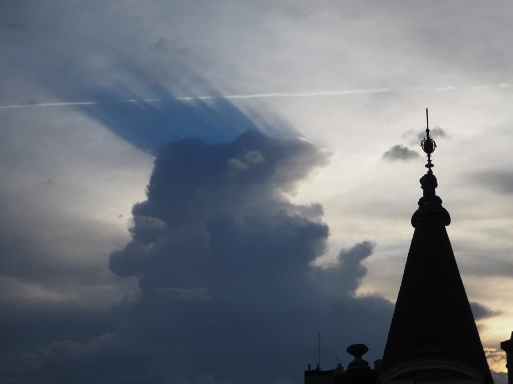 un coq dans le ciel
