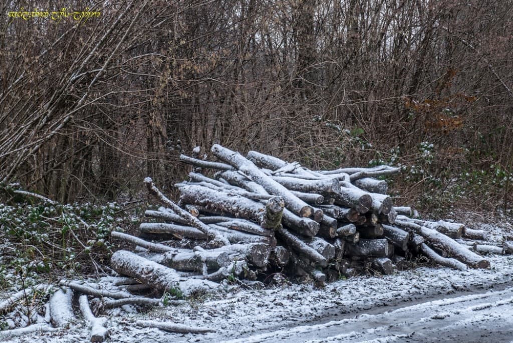 Graphisme neigeux