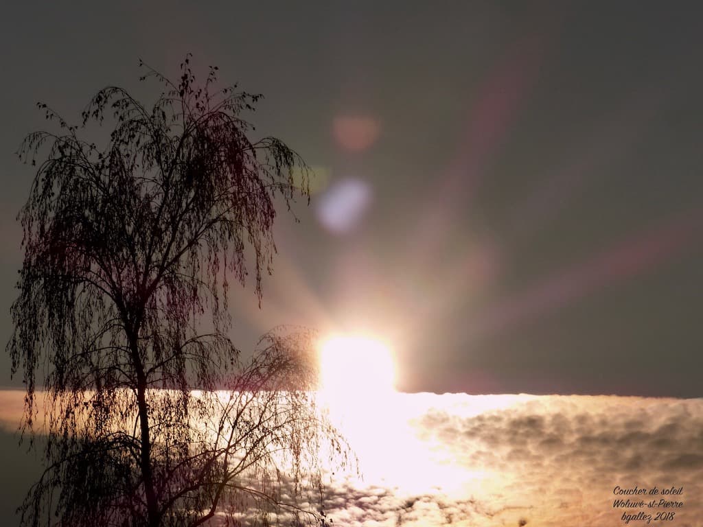 Le bonheur d'avoir un horizon...