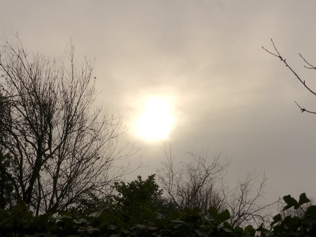 Le soleil du jour