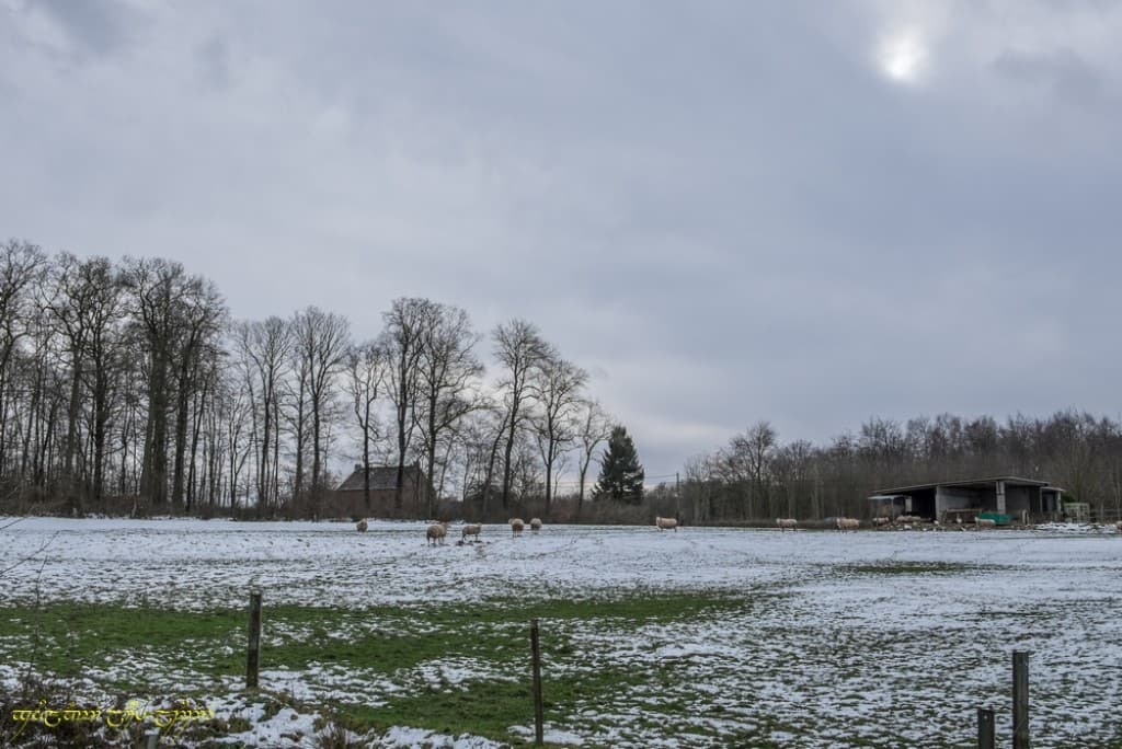 Tentative de percée