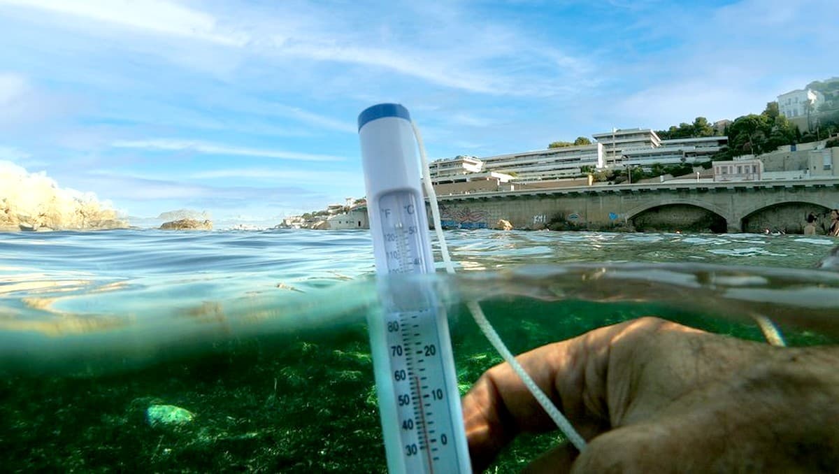 Une eau de mer exceptionnellement froide près des côtes méditerranéennes