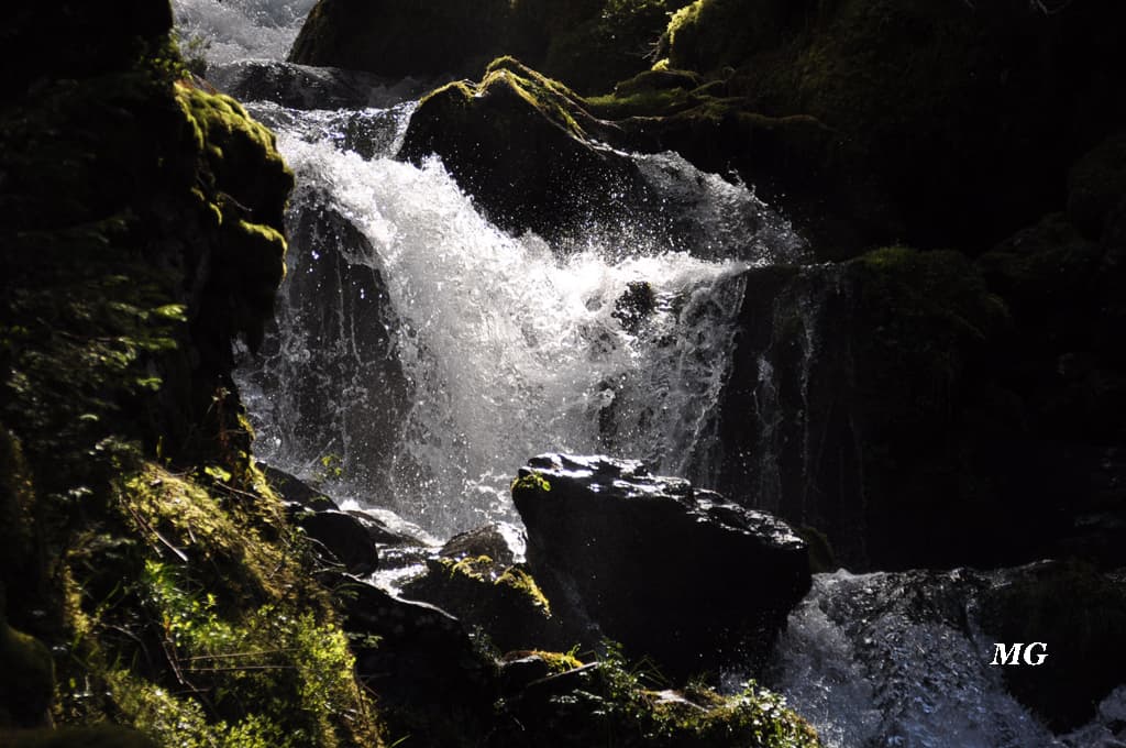L'eau ... source de vie !!!