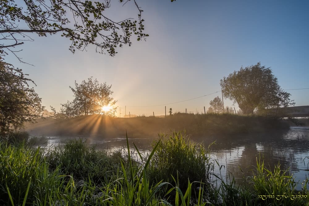 Les rayons près de la rivière