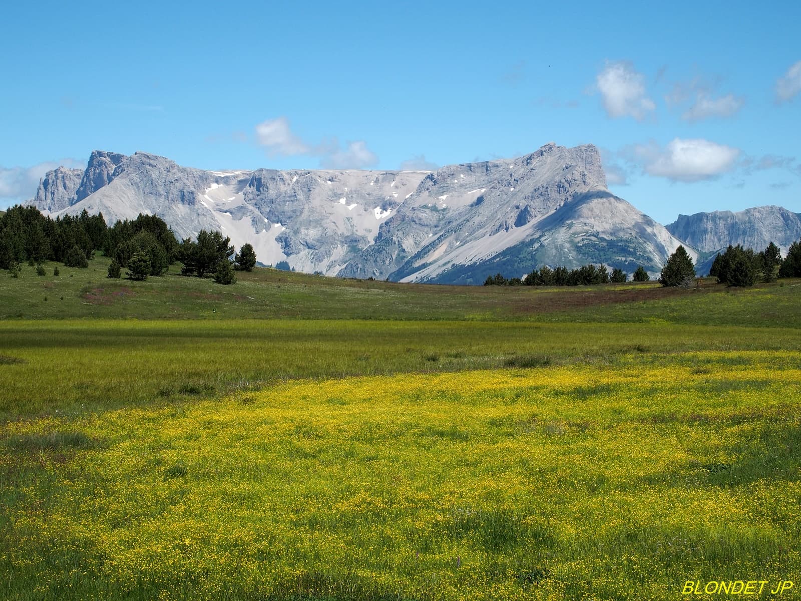 Plateau de Bure vu de Céüze