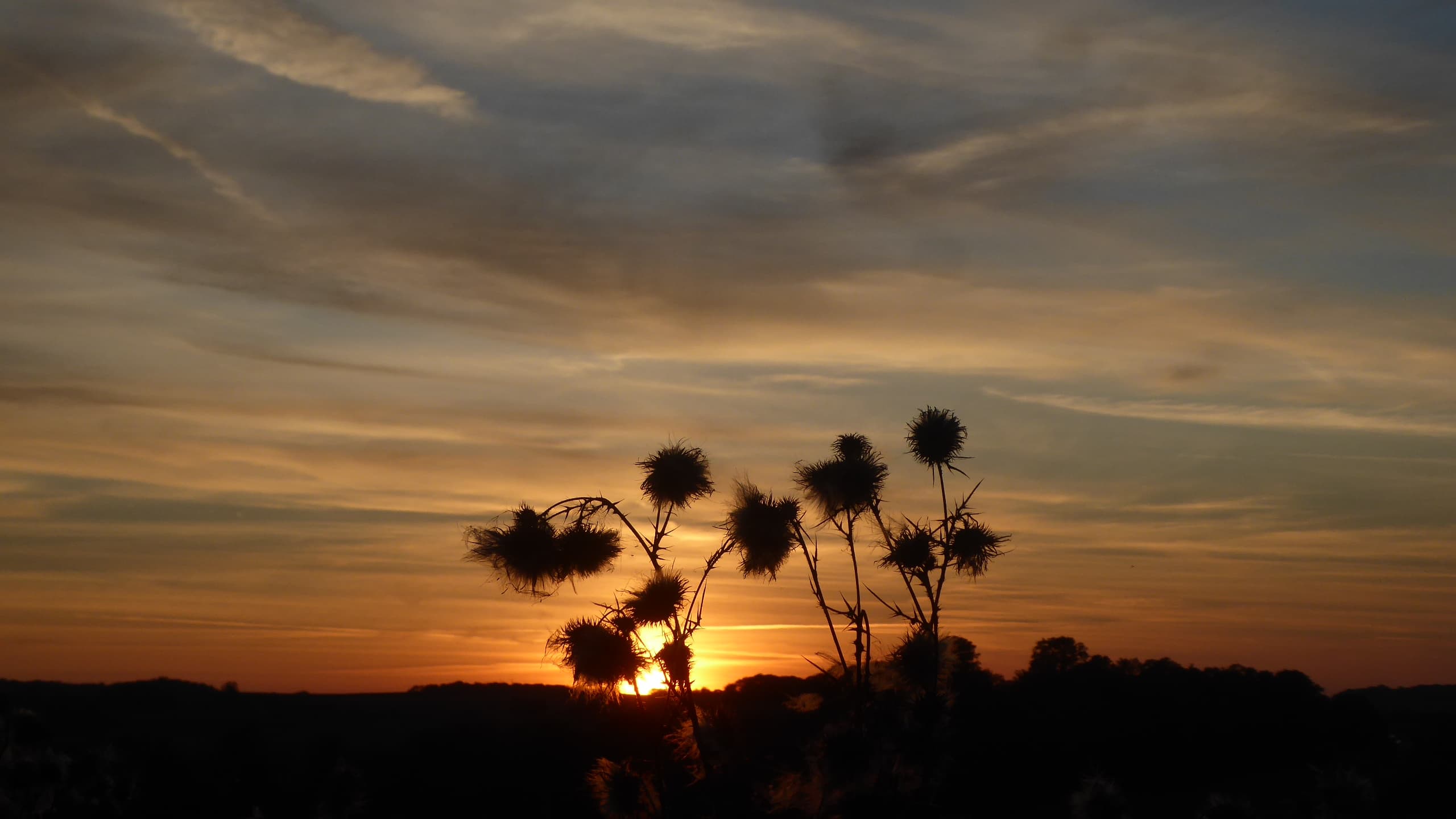 Au coucher du soleil
