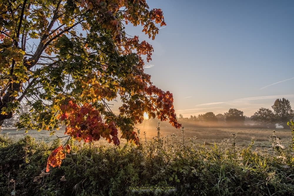 L'automne et le bocage