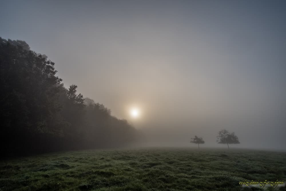Joli brouillard