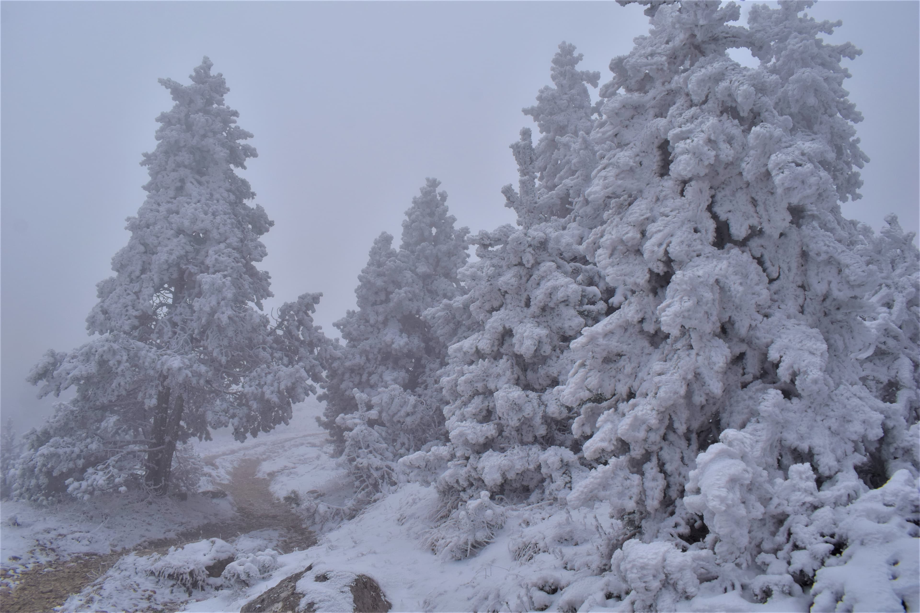 Comme en hiver...