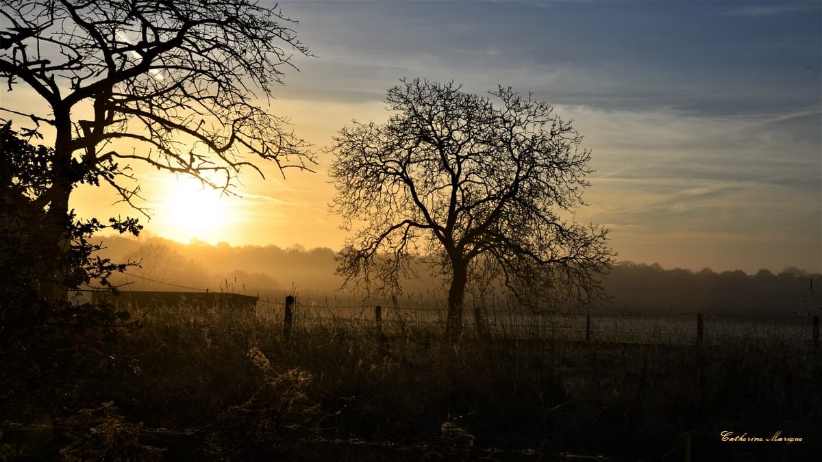 Brumeux.