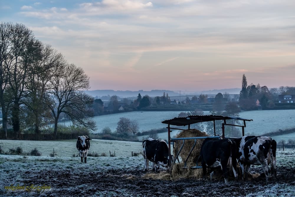 Blanches collines de Thiérache