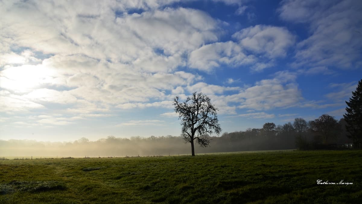 Le ciel s'éclaircit....