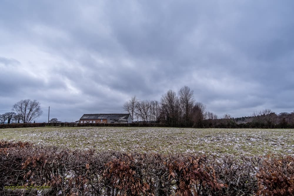 Piqueté de neige