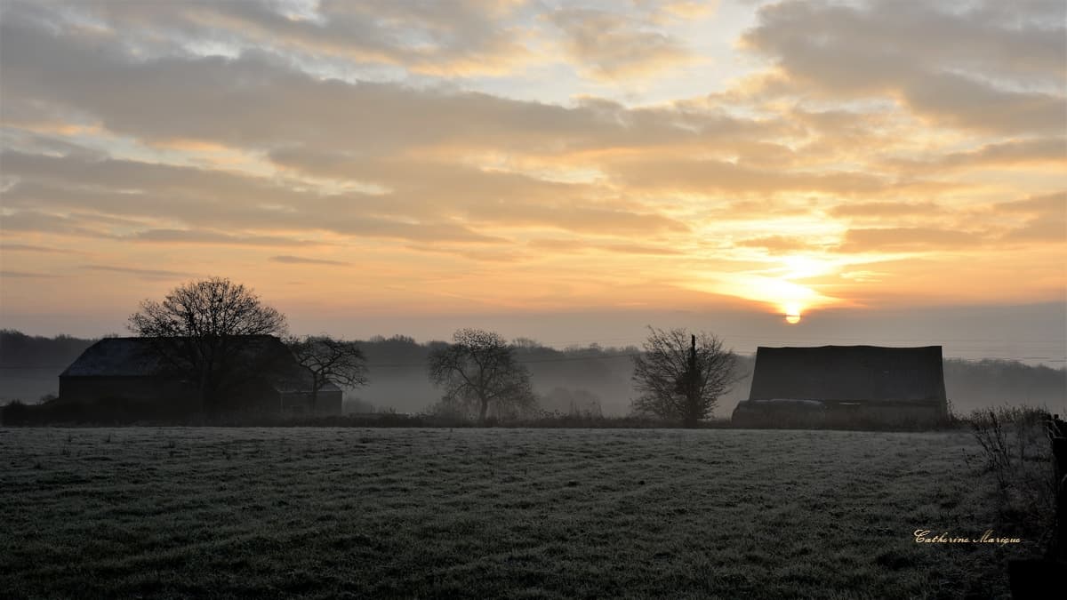 Jolie brume!