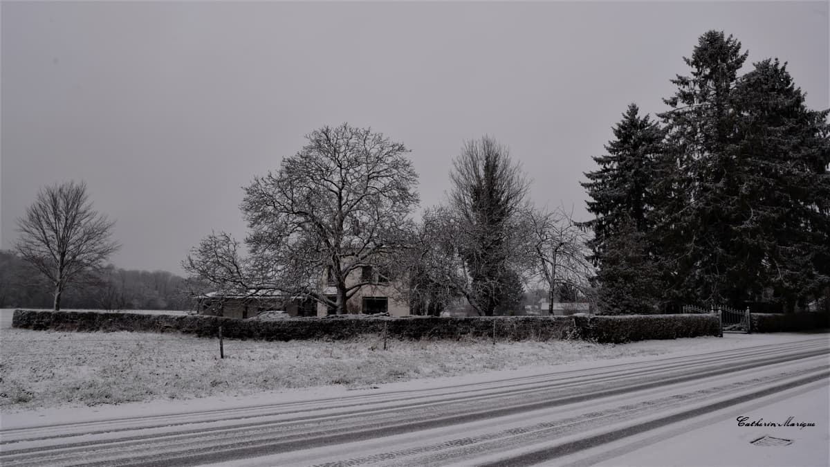 Chute de neige