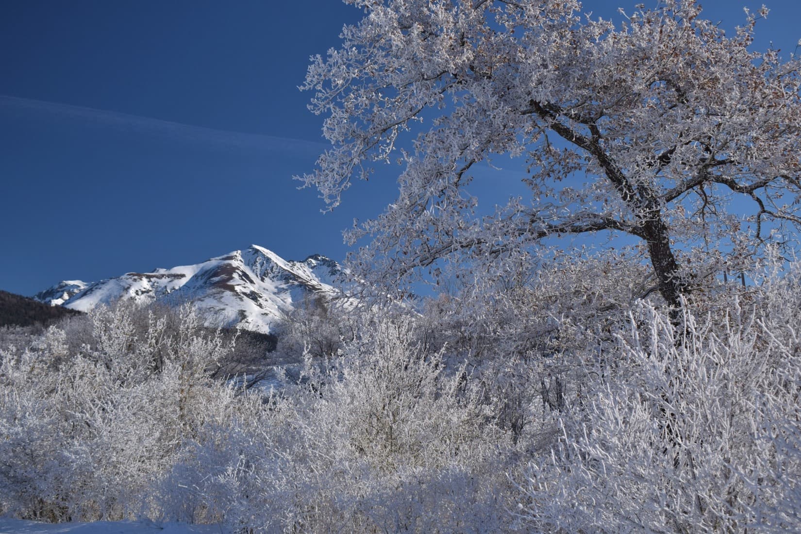 Givre en Matheysine